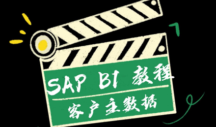 SAP Business One —— 客戶主數(shù)據(jù)